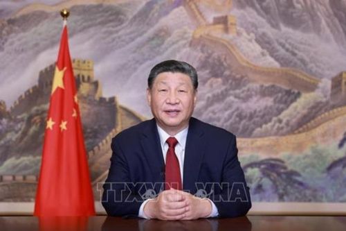 Thế giới rộn ràng bước vào năm 2025