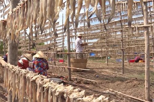 Làng khô cá Khoai nổi tiếng miền Tây vào vụ Tết