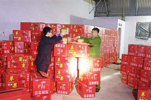 Nhiều đối tượng tự sản xuất pháo nổ bằng cách pha trộn các loại phân bón