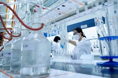 Phân bón Cà Mau công bố điều chỉnh kế hoạch sản xuất kinh doanh năm 2024