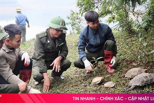 Tái thả 90 cá thể động vật hoang dã về Vườn Quốc gia Vũ Quang