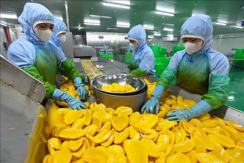 Nỗ lực tháo gỡ 'điểm nghẽn', nền kinh tế được kỳ vọng về đích năm 2025
