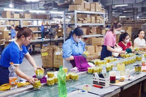 Quảng Ninh: Thưởng Tết Nguyên đán Ất Tỵ cao nhất 176 triệu đồng