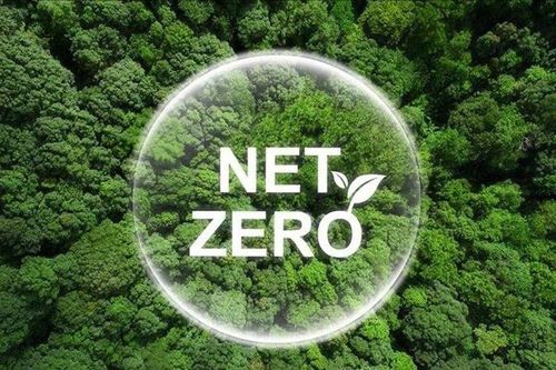 Doanh nghiệp Việt đón đầu xu hướng Net Zero: Cần cải tiến chuỗi cung ứng xanh