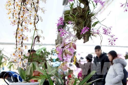 Ứng dụng công nghệ số trong phát triển nông nghiệp