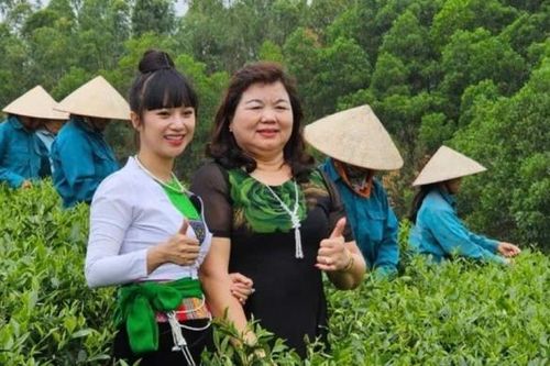 Tối ưu hóa quy trình sản xuất để phát triển bền vững