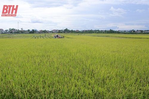 Nông nghiệp tăng trưởng ấn tượng