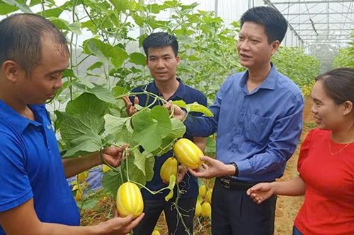 'Vượt bão' thành công, vững vàng 'trụ đỡ'