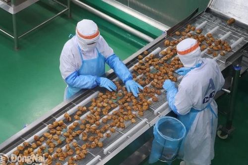 Các giải pháp để kinh tế Đồng Nai tăng tốc về đích trong năm 2025