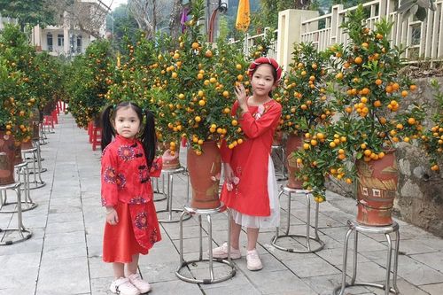 Tổ chức Chợ hoa xuân tết Nguyên đán, xuân Ất Tỵ năm 2025 tại 4 vị trí