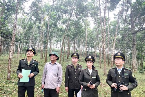 Giữ màu xanh no ấm