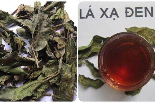 Những người nên uống nước xạ đen thường xuyên