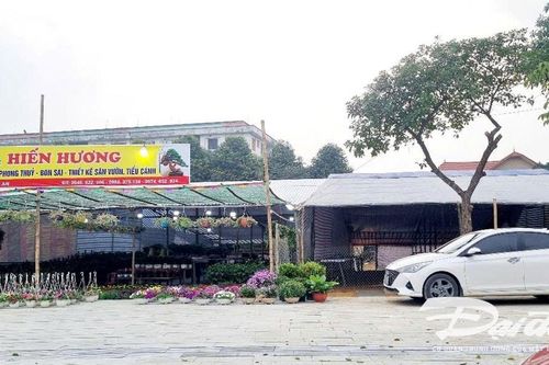 Giá thuê mặt bằng bán hoa Tết tại TP Vinh tăng chóng mặt