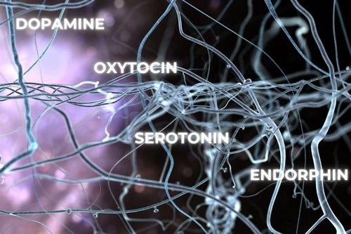 Làm chủ 6 loại hormone hạnh phúc trong cơ thể