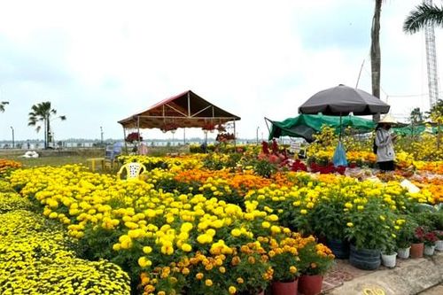 Cần Thơ miễn tiền thuê mặt bằng cho tiểu thương tham gia chợ hoa