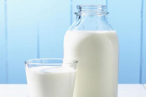 Giải oan cho chất béo từ sữa trong chuyển hóa lipid