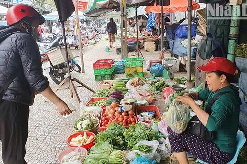 Rau xanh tăng giá, tiểu thương Đà Nẵng không dám nhập nhiều