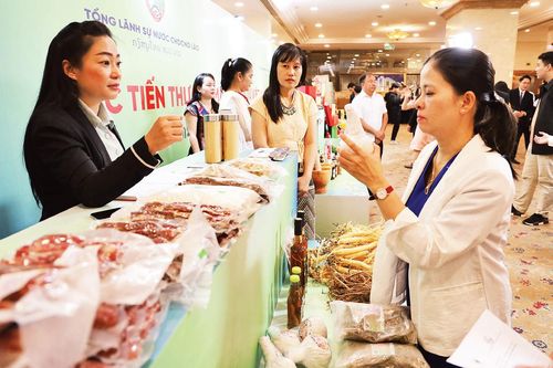 Lào mời gọi các doanh nghiệp thành phố đầu tư