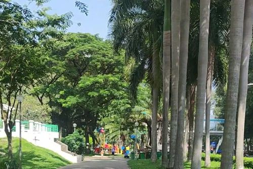 TPHCM phấn đấu đến năm 2030, đất cây xanh công cộng không dưới 1m²/người