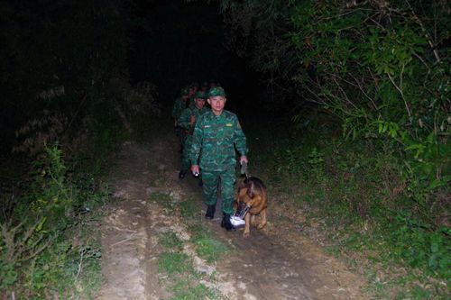 Tập trung đấu tranh ngăn chặn hoạt động xuất, nhập cảnh trái phép qua biên giới