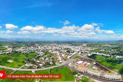 'Thủ phủ' mai vàng miền Trung… chờ Tết Nguyên đán Ất Tỵ