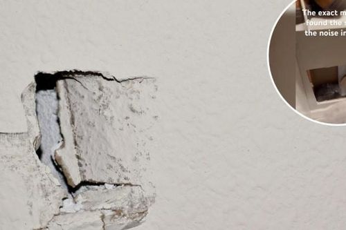 Cặp đôi sốc phát hiện thứ mắc kẹt trong tường nhà