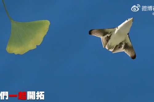 Truyền thông nước ngoài bình luận về chiến đấu cơ thế hệ 6 của Trung Quốc