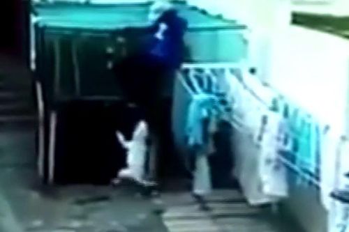 CLIP: Vào nhà dân ăn trộm, nam thanh niên gặp ngay 2 con chó Pitbull và cái kết 'kinh hoàng'