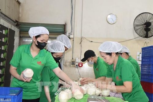 Bến Tre đặt mục tiêu kim ngạch xuất khẩu tăng hơn 5,7%