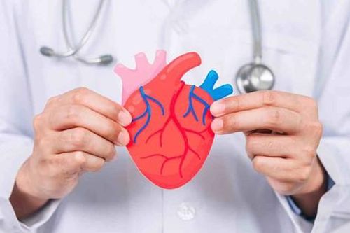 Y học tìm cách tái tạo bộ phận cơ thể người