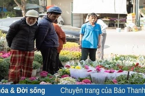 'Lạc' vào phố hoa, cây cảnh lớn nhất TP Thanh Hóa