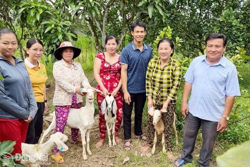 Hiệu quả từ dự án quản lý rừng gắn với phát triển kinh tế