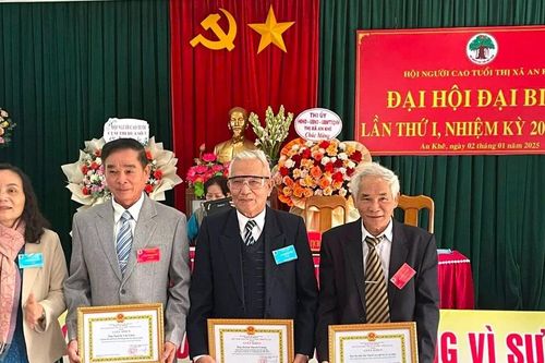 Đại hội đại biểu Hội Người cao tuổi thị xã An Khê lần thứ nhất