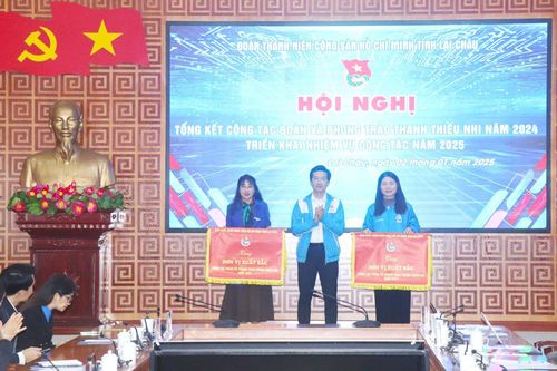 Tỉnh đoàn triển khai nhiệm vụ năm 2025
