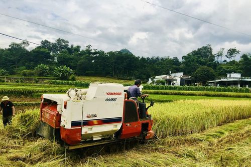 Đồng hành cùng sự phát triển của tỉnh