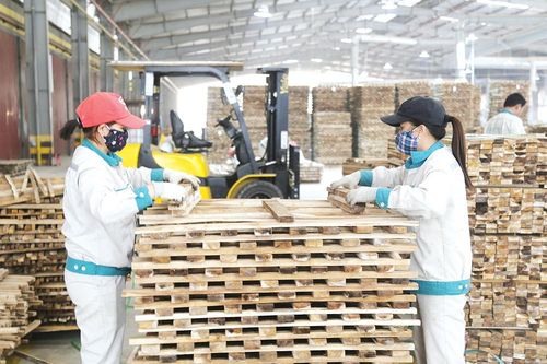 Năm mới, khí thế mới