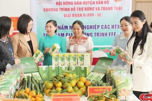 Nông sản an toàn Sơn La chinh phục thị trường