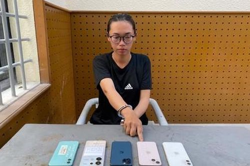 Triệt phá băng trộm do 'nữ quái' có 3 tiền án cầm đầu