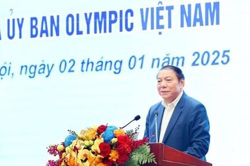Năm 2025, Thể thao Việt Nam đặt mục tiêu vào tốp 3 SEA Games 33