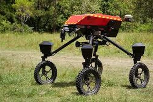 Robot chăn gia súc thông minh đầu tiên trên thế giới