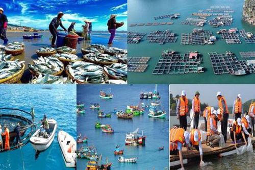 Bảo vệ và phát triển nguồn lợi thủy sản: Xanh – bền vững