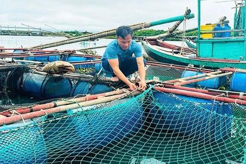Phát triển bền vững ngành nuôi trồng thủy sản Hà Tĩnh