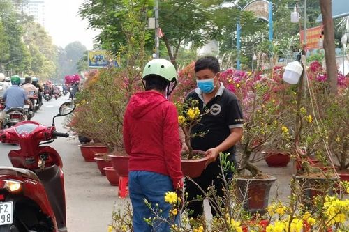 TPHCM có thêm 7 chợ hoa xuân cấp thành phố