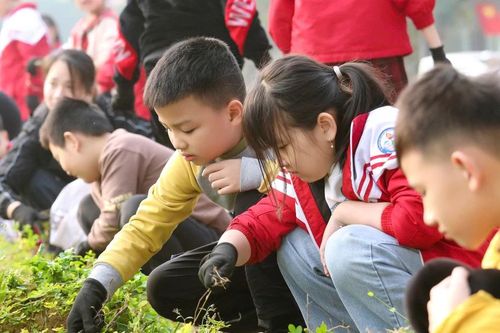 Học sinh hào hứng với trải nghiệm 'tiết học xanh'