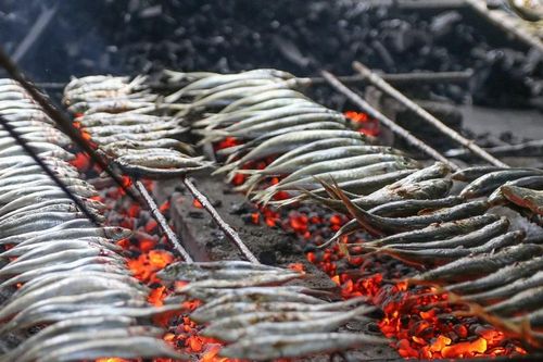 Làng chài ở thành phố Vinh đỏ lửa nướng cá phục vụ Tết