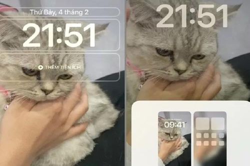 Cài video làm màn hình khóa cho iPhone với vài thao tác đơn giản