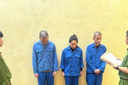 3.000 bị hại 'sập bẫy' lừa khi mua điện thoại xịn giá bèo