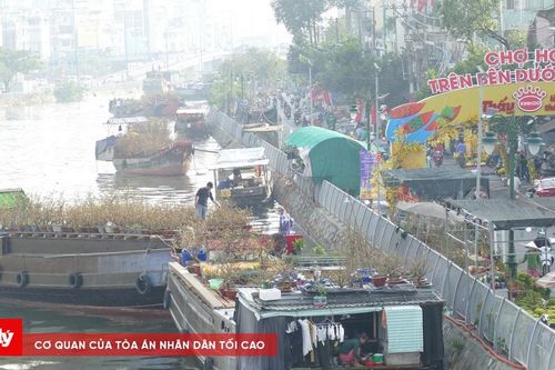 TP.HCM tổ chức 1 Hội hoa Xuân và 7 chợ hoa Tết