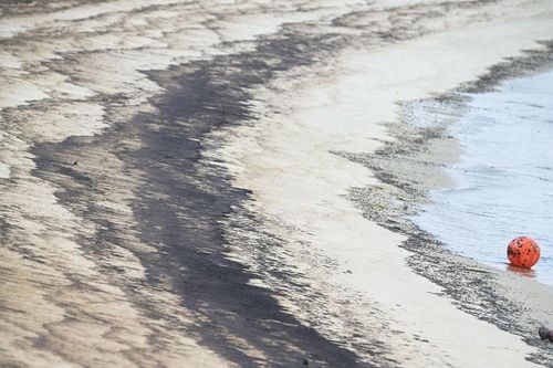 Nga: Dầu tràn ra Biển Đen 'thấp hơn đáng kể' so với ước tính và khó thu gom