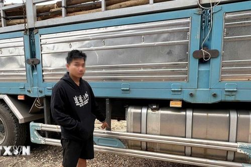 Bắt giữ tài xế xe tải nghi gây tai nạn chết người rồi bỏ chạy